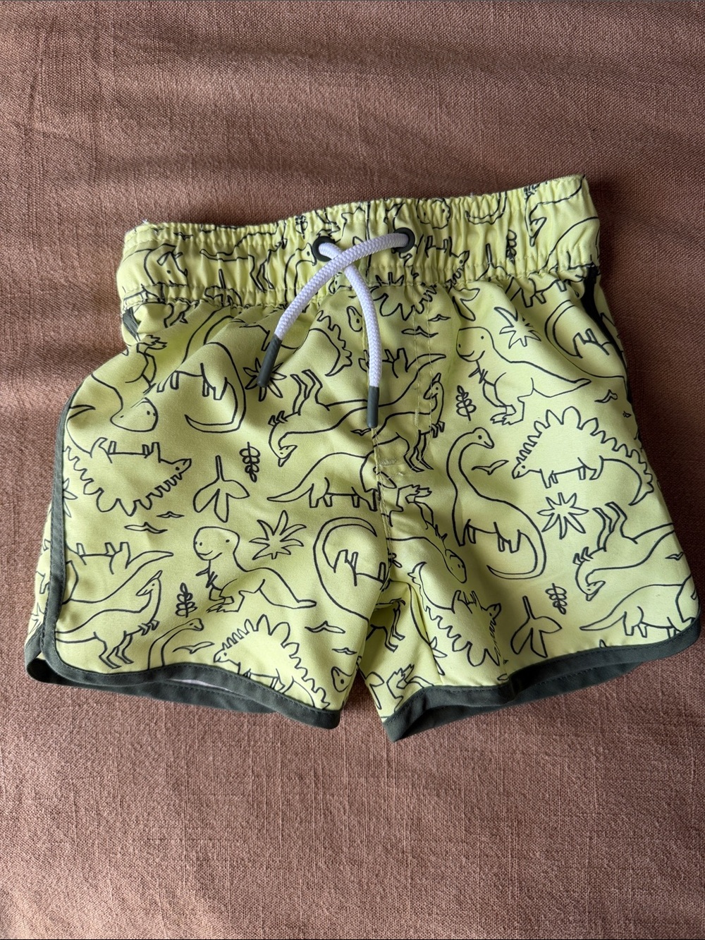 Kids' Dino Print Swim Shorts - 12 mo